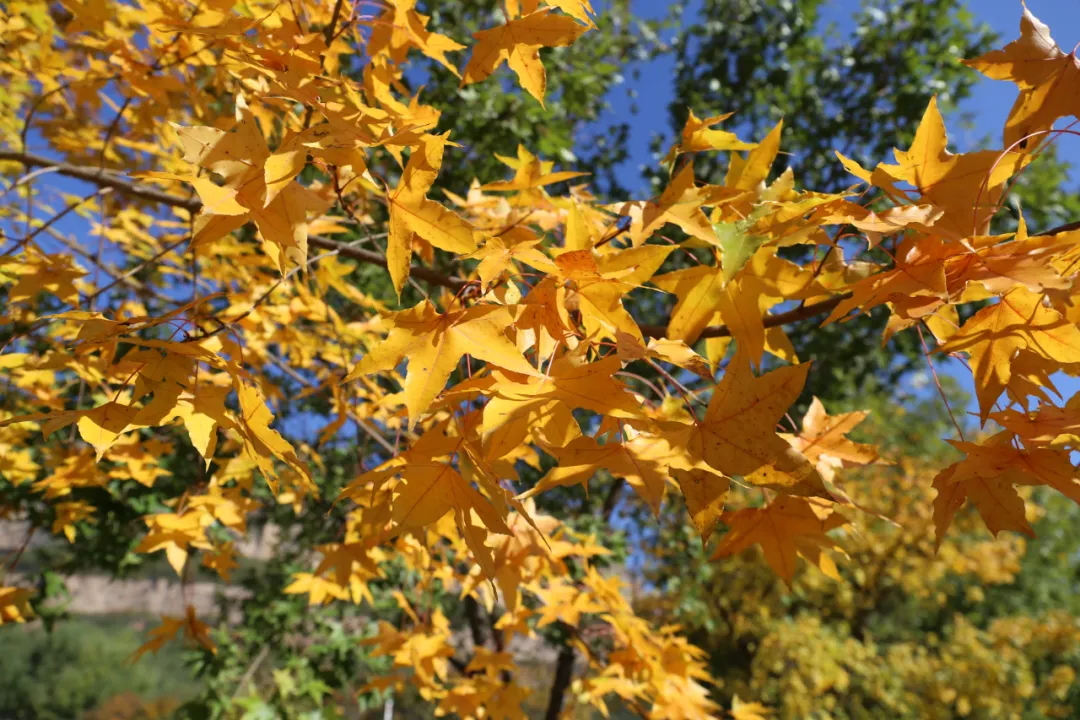 640 (6)_看图王.web