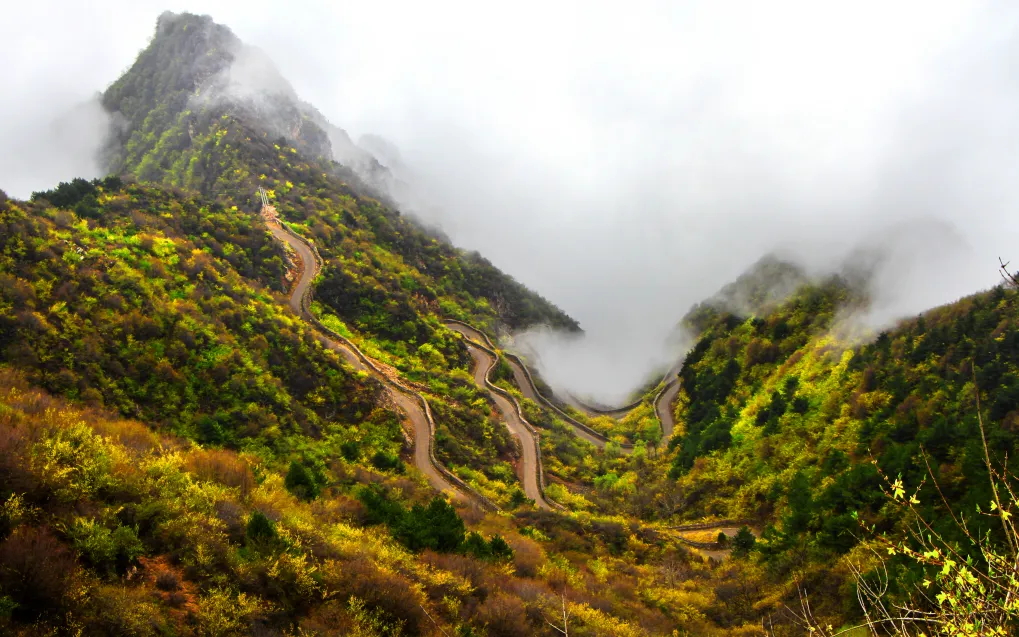 640 (6)_看图王.web