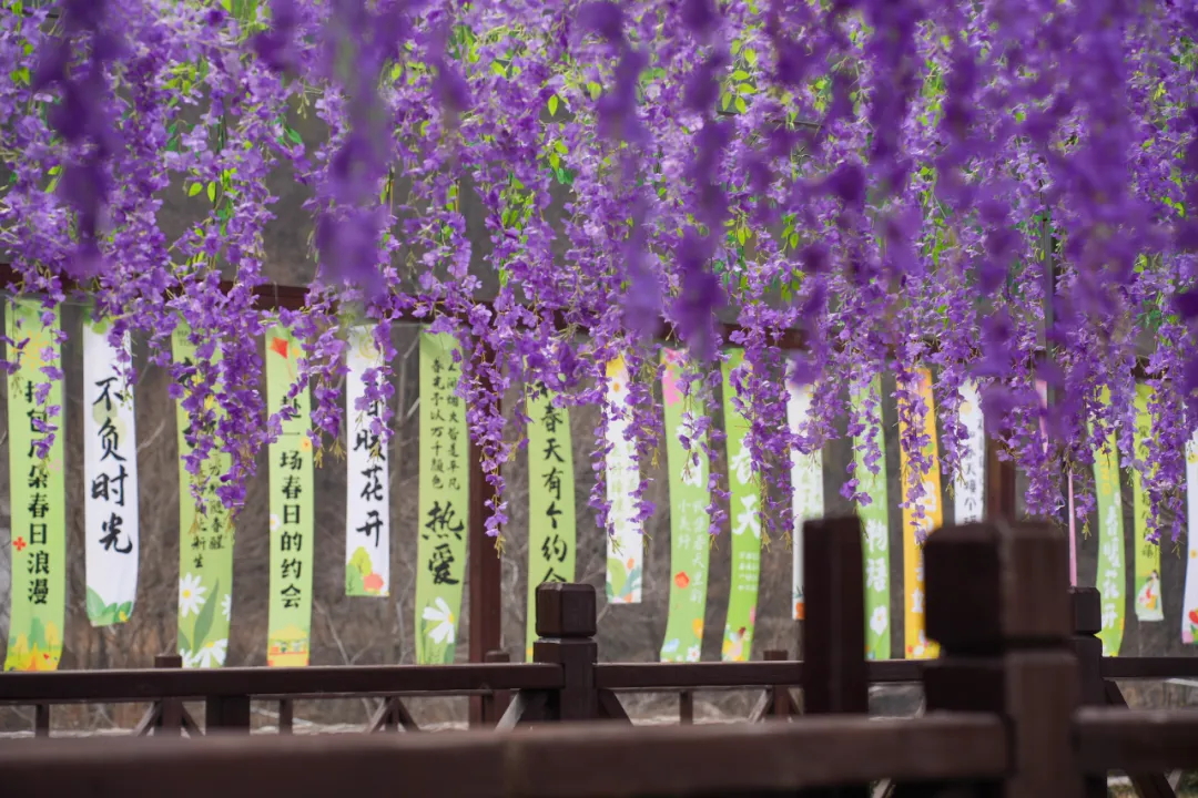 640 (2)_看图王.web