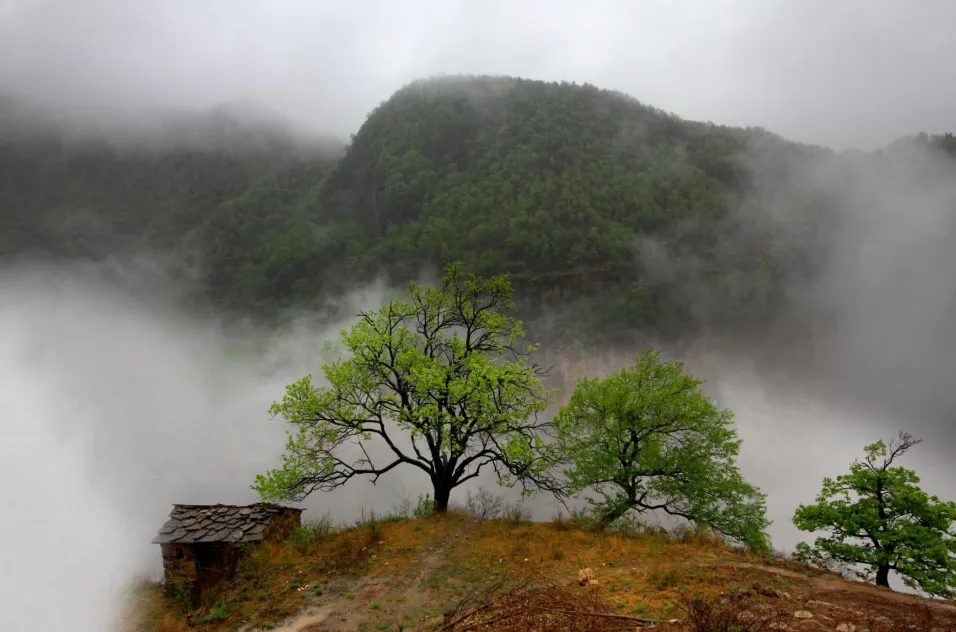 640 (7)_看图王.web