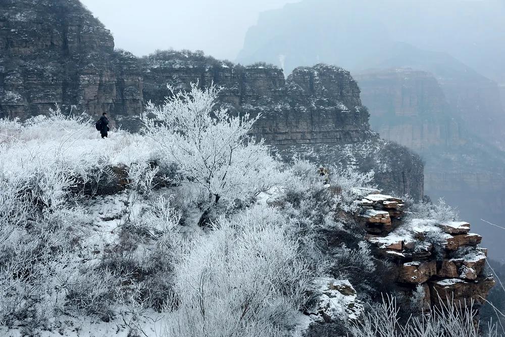 微信图片_20220121155210