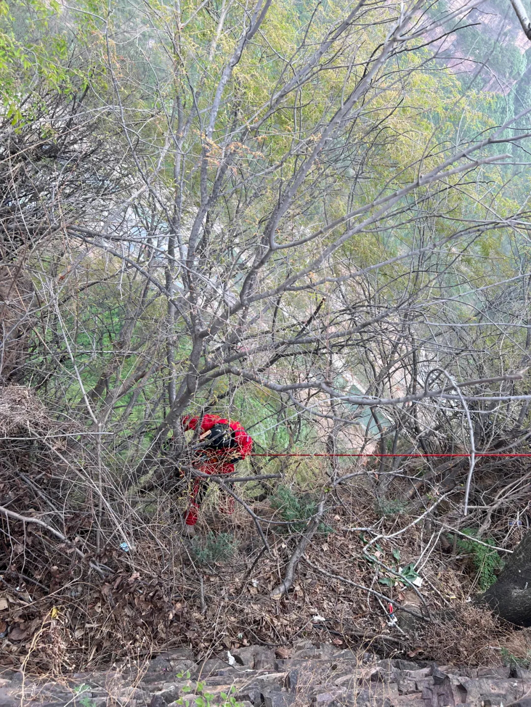 640 (3)_看图王.web