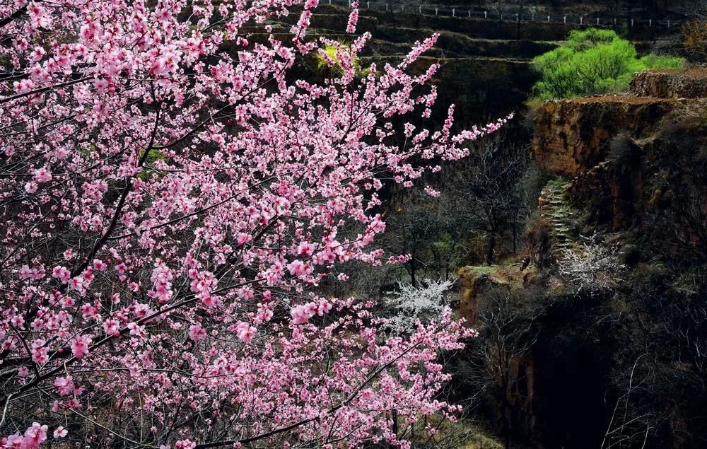 微信图片_20250424165930