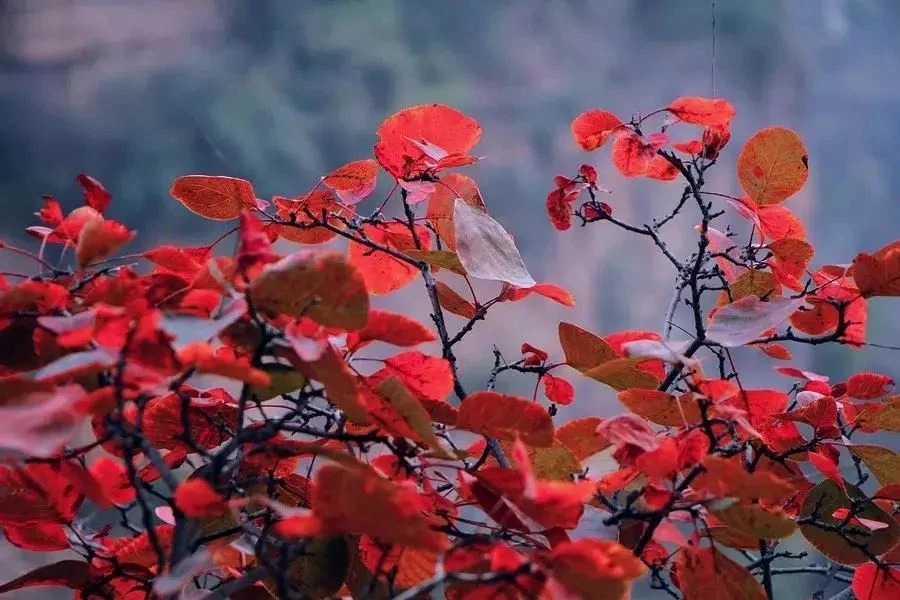 微信图片_2025-10-18_153651_002_看图王