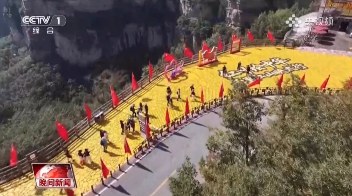 微信图片_2025-10-09_104945_300