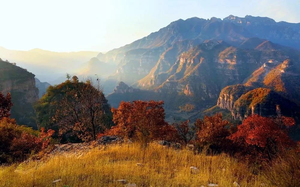 微信图片_2025-11-17_081434_035_看图王