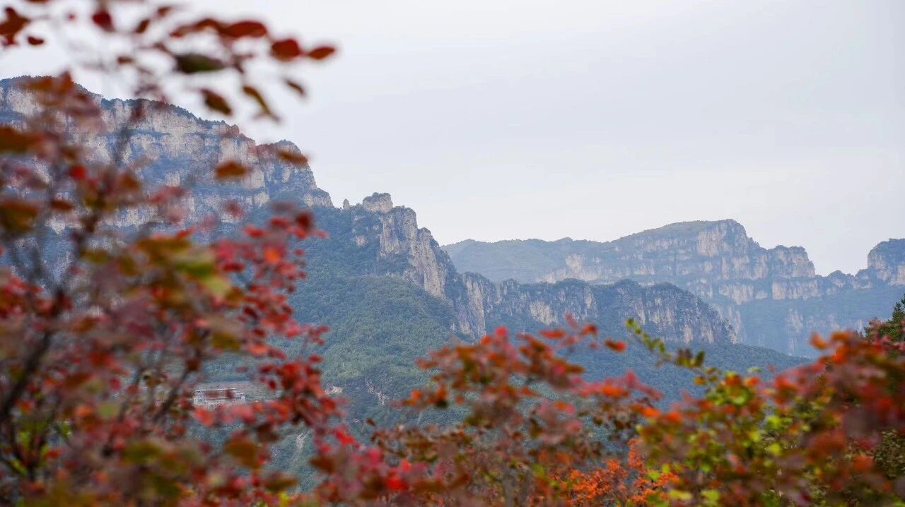 微信图片_2025-10-10_174655_037