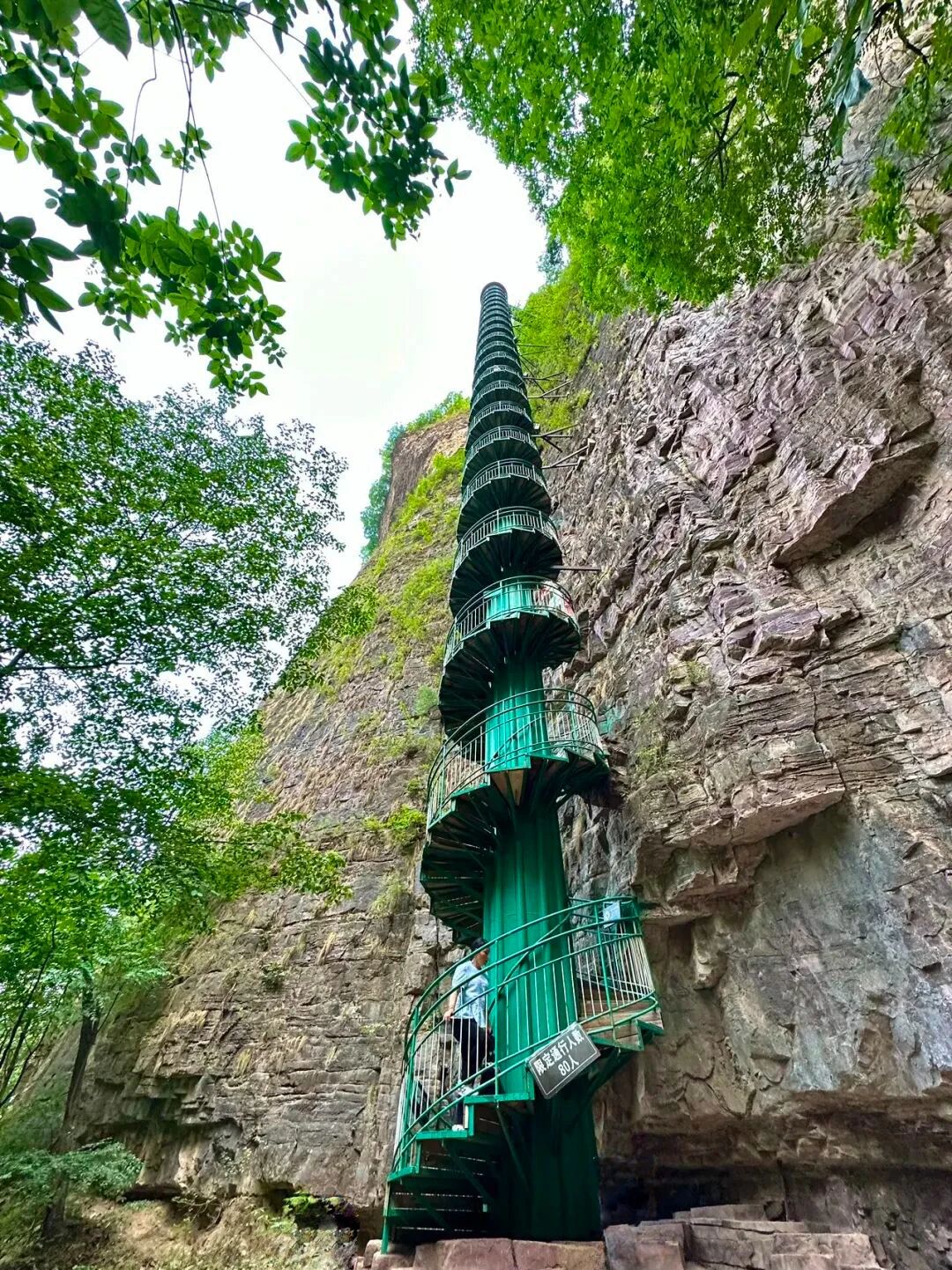 微信图片_2025-09-29_090537_701