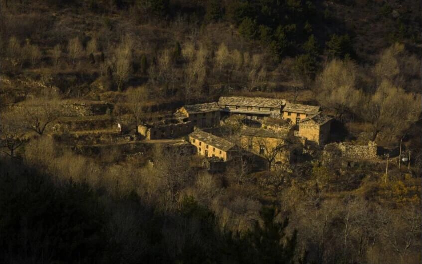 微信图片_2025-11-28_092840_548