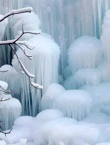 微信图片_2026-01-10_155420_318