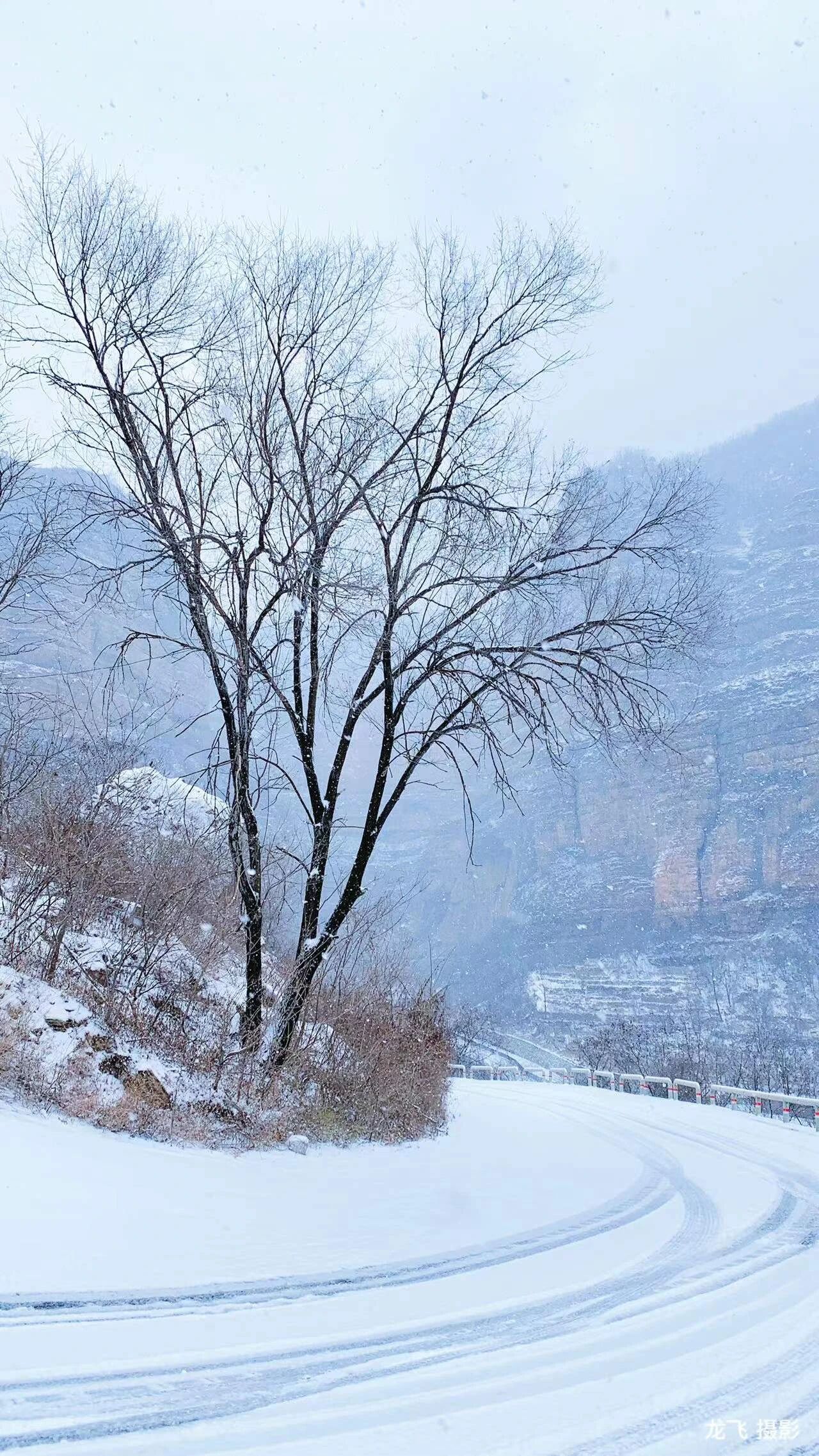 微信图片_2026-01-12_115216_094