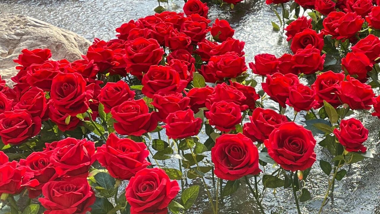 微信图片_2026-01-15_134424_267