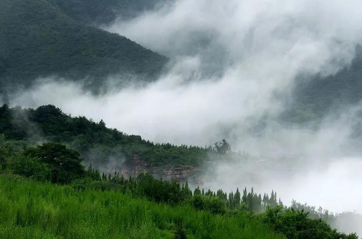 微信图片_20210414155320