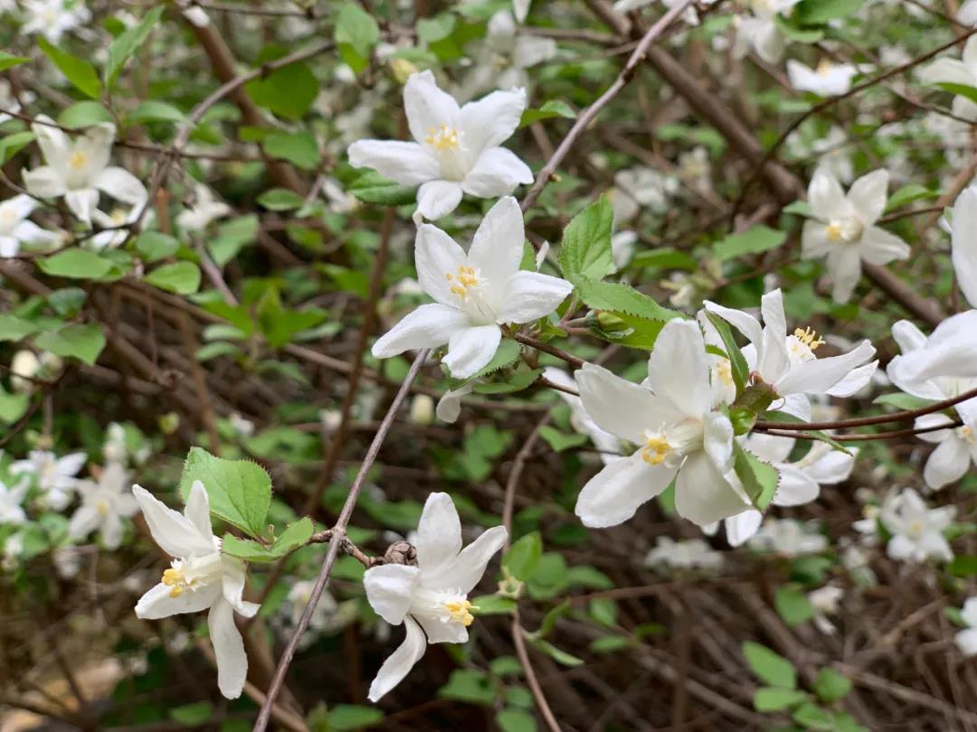 微信图片_20210414154728