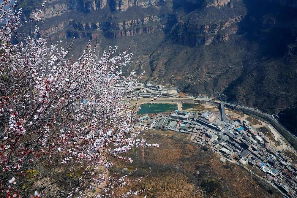 微信图片_20210317092404