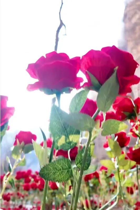 微信图片_2026-02-28_144142_278