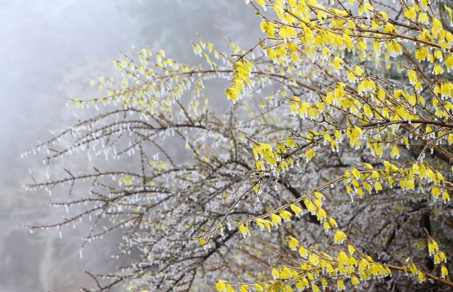 微信图片_2026-03-02_142650_474