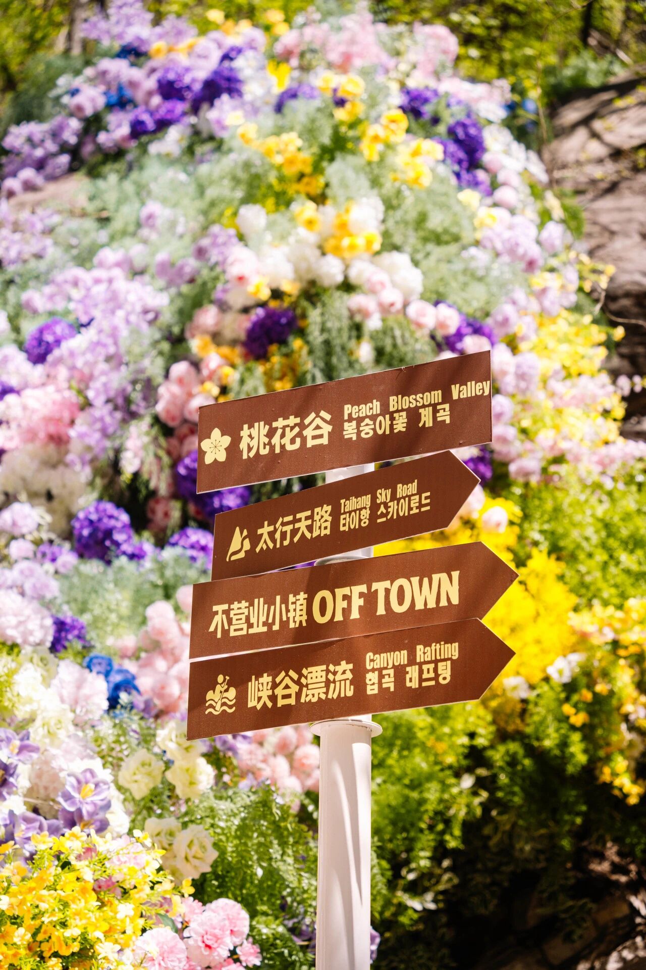 微信图片_2026-04-24_165233_986