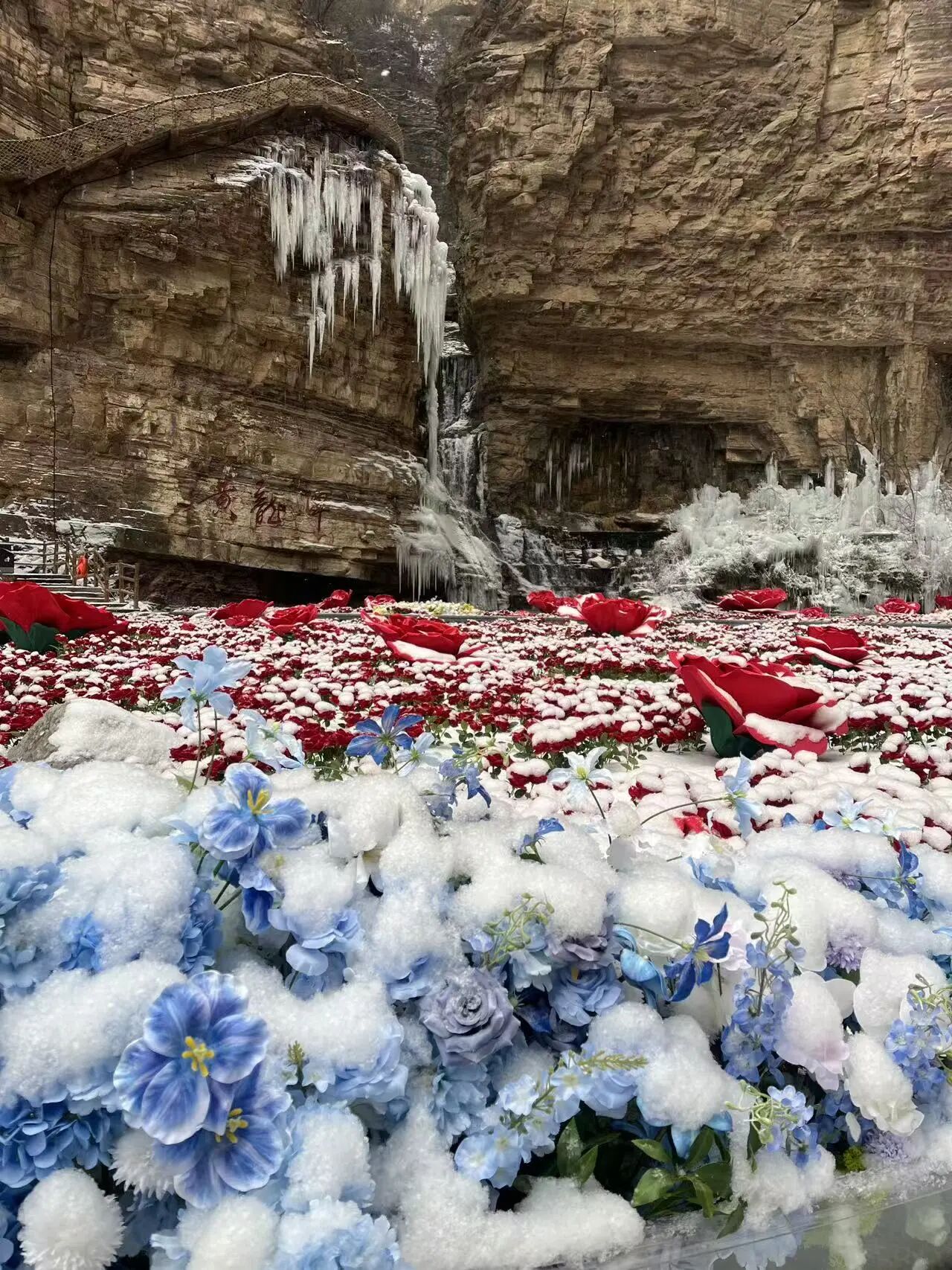 微信图片_2026-02-04_101700_920