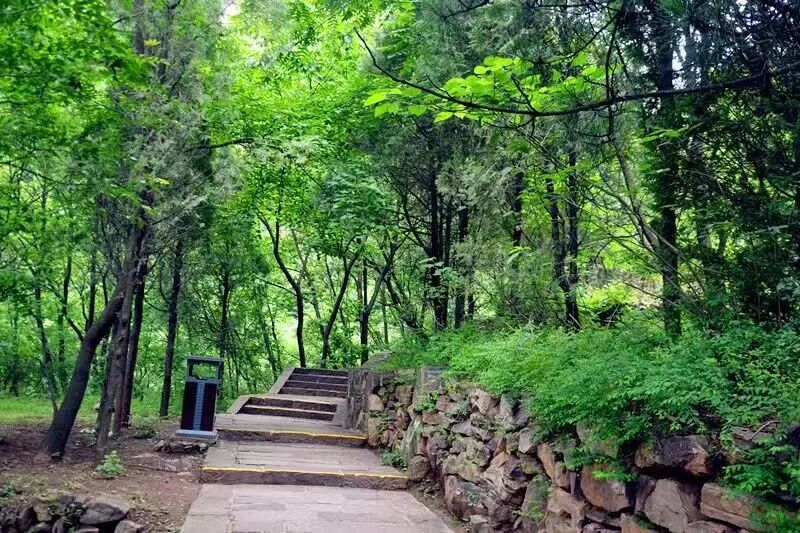 微信图片_2026-04-09_172954_202