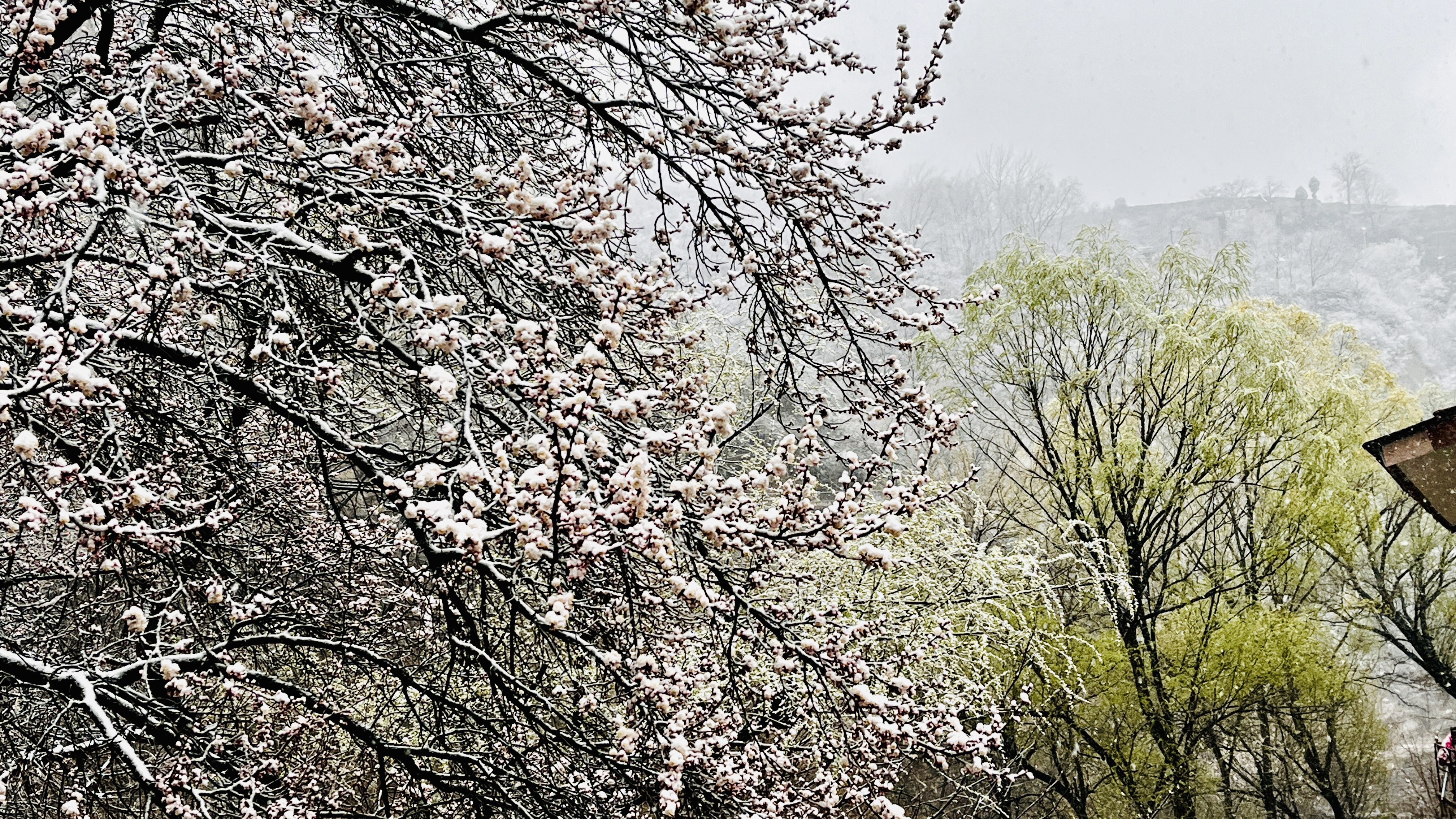 微信图片_20230317090332