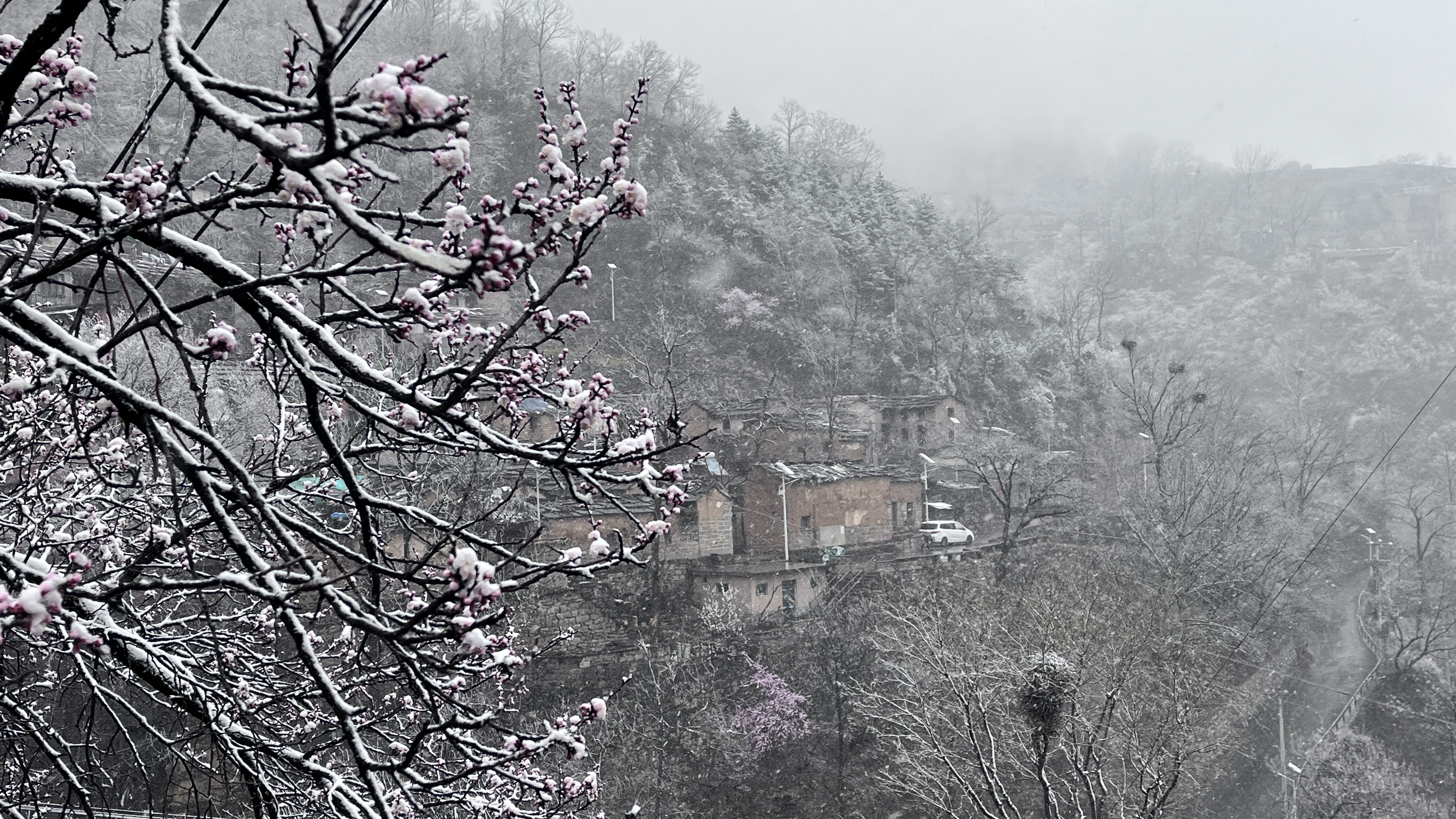 微信图片_20230317090249