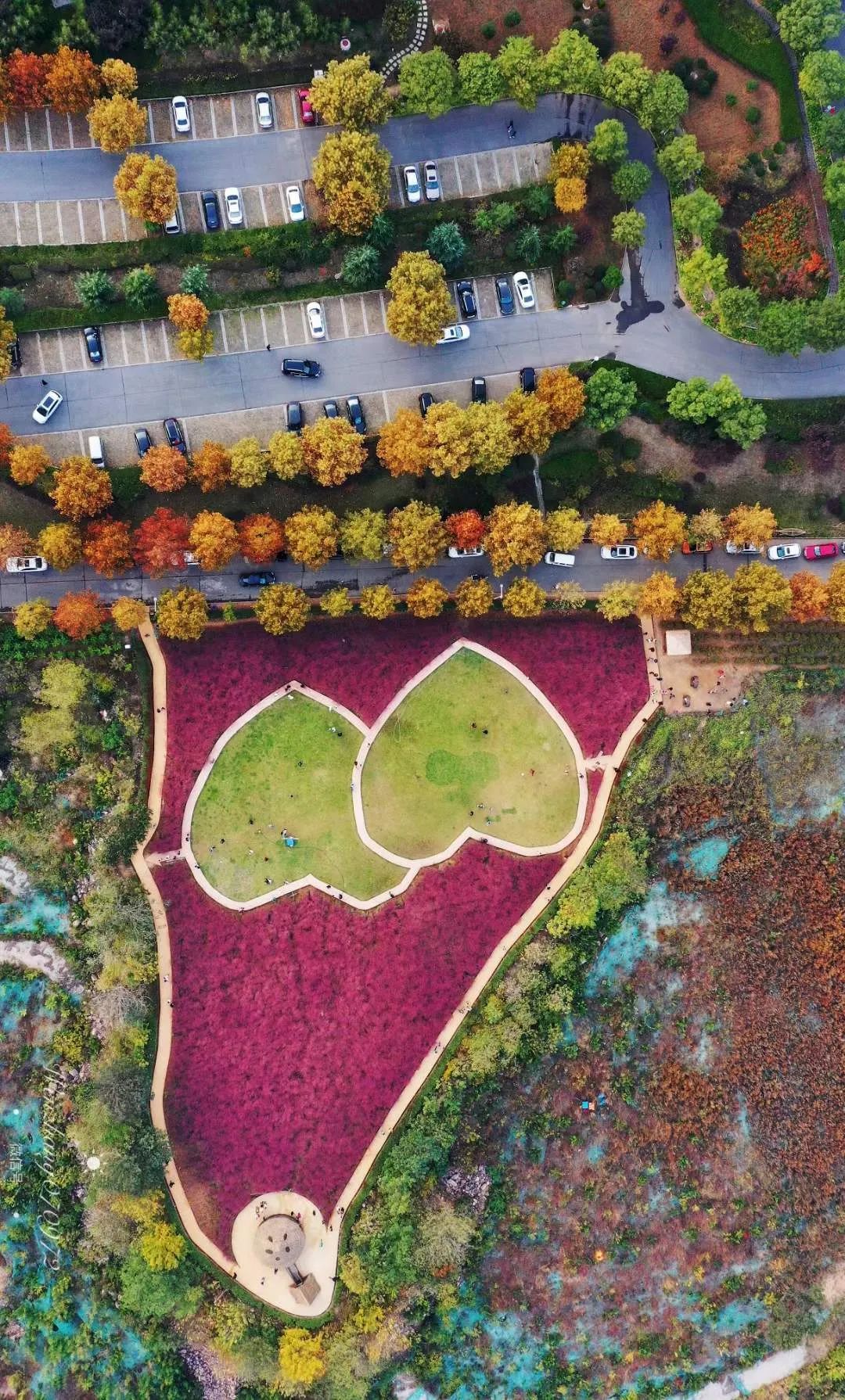 微信图片_20221219102120