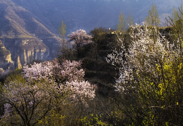 微信图片_20200317082828