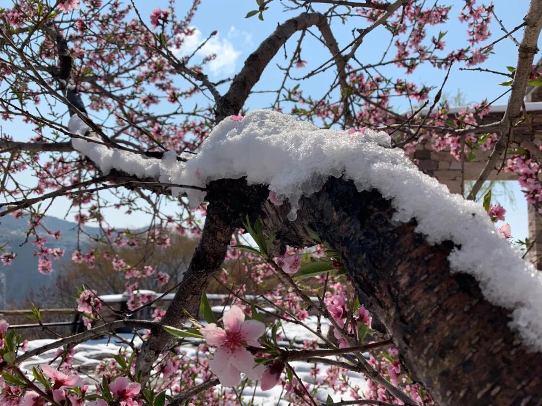 微信图片_20200415085044