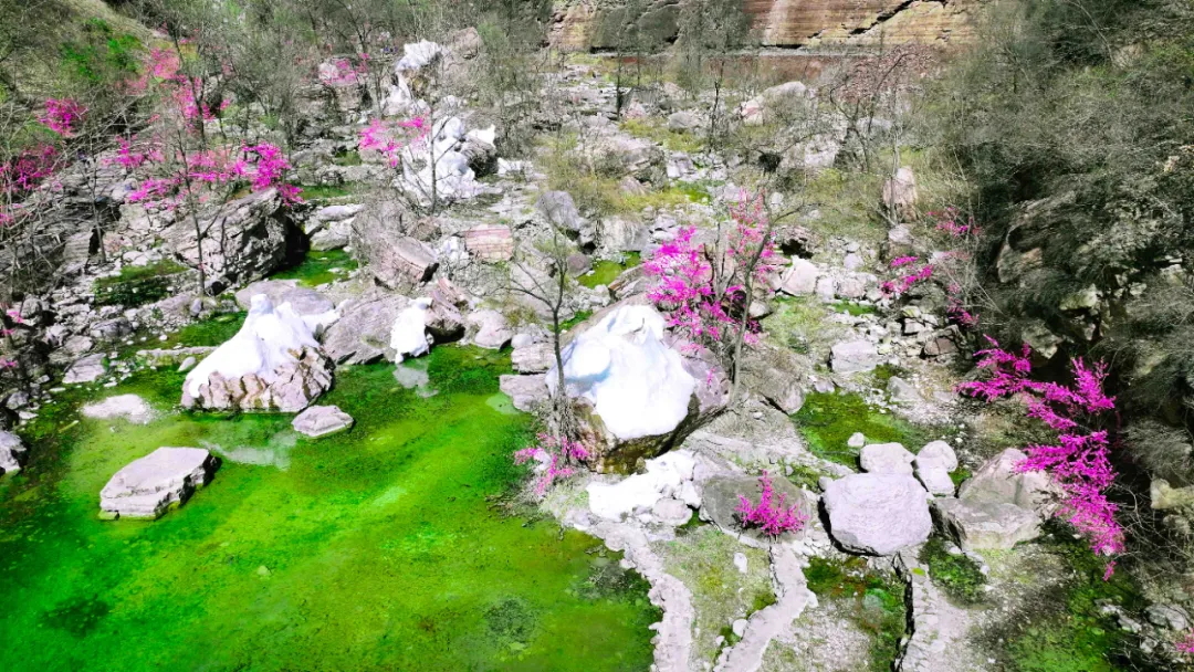 640 (6)_看图王.web