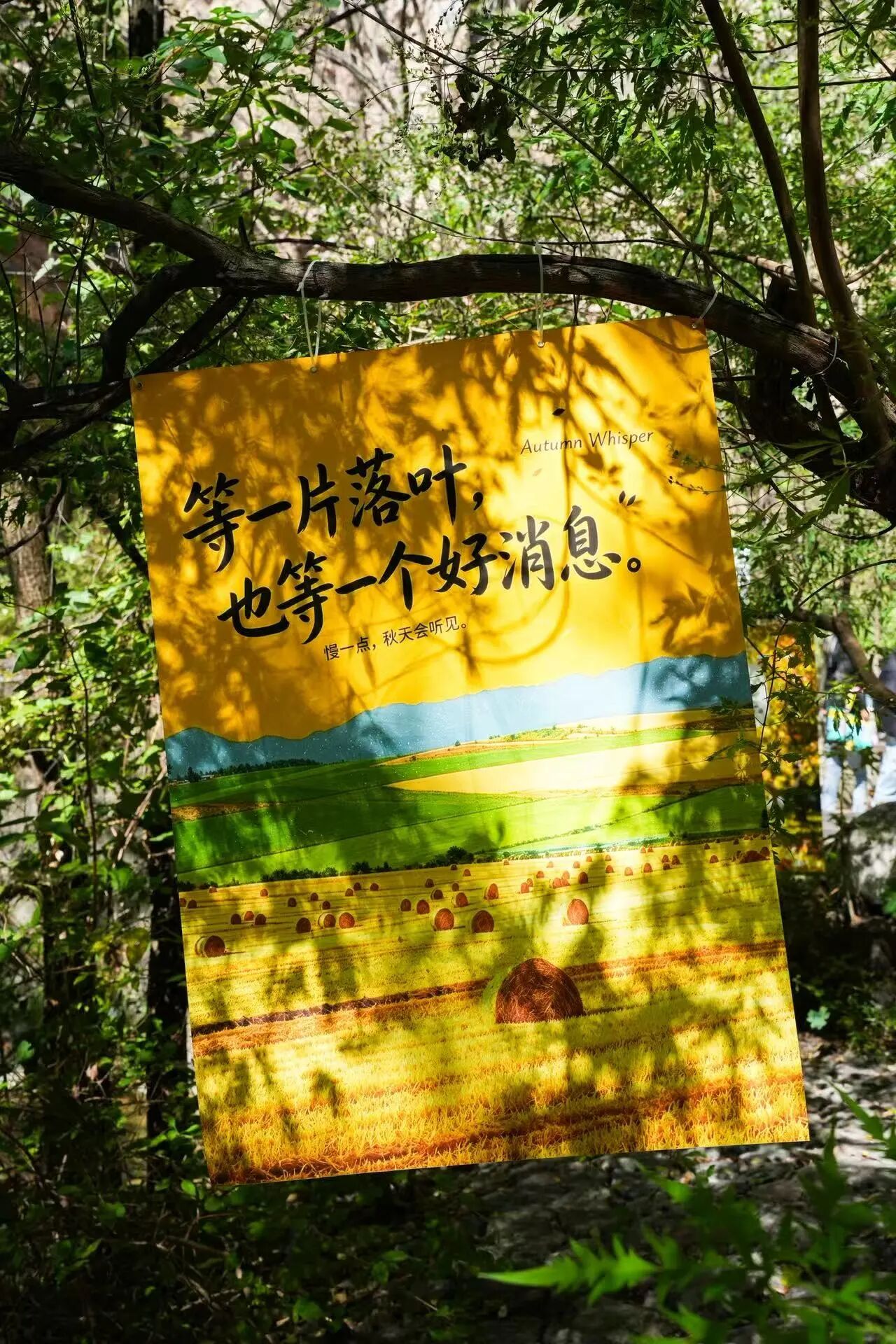微信图片_2026-09-21_144004_613