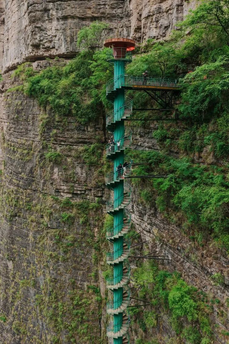 微信图片_2026-06-10_141603_372