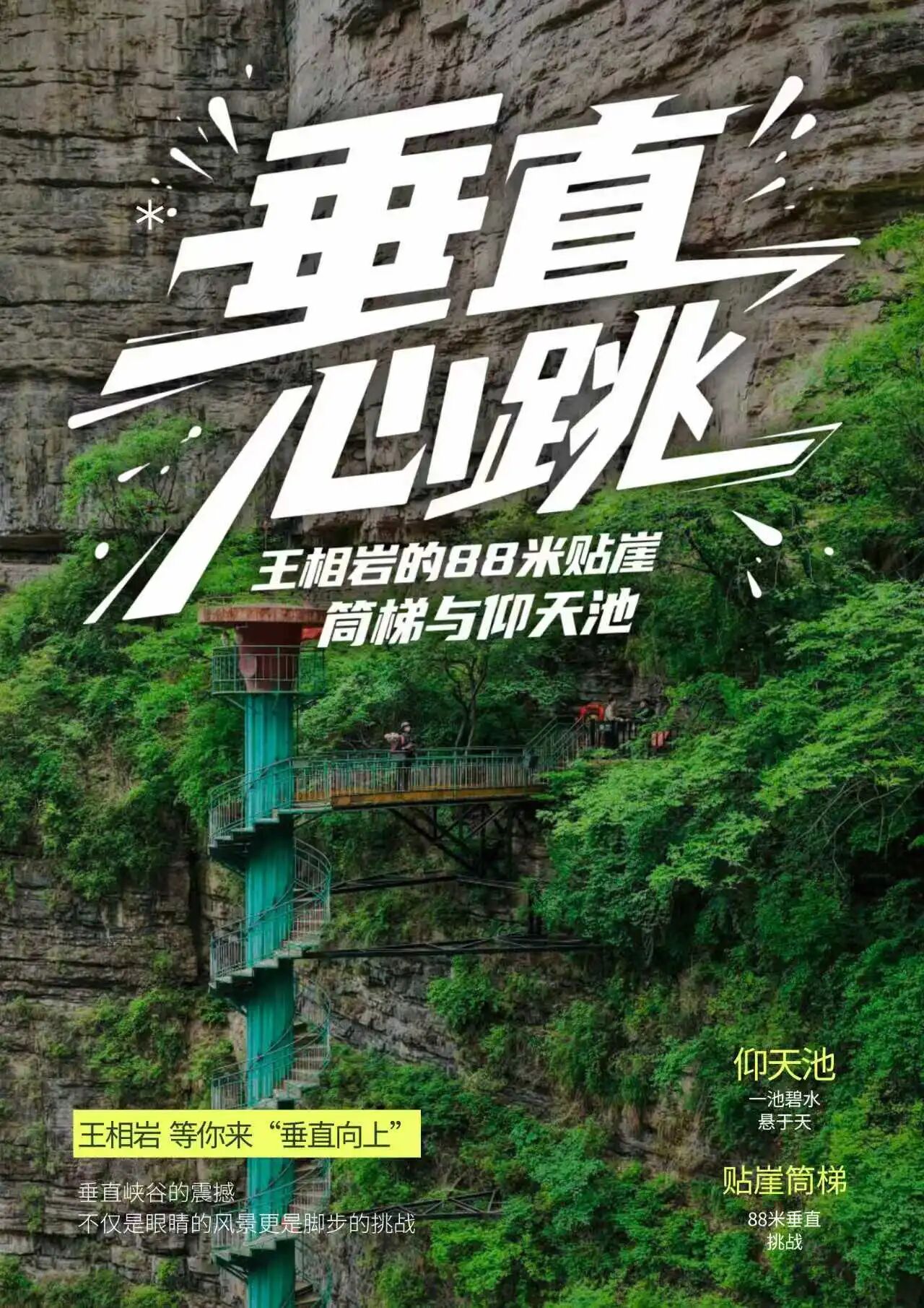 微信图片_2026-06-10_141547_833