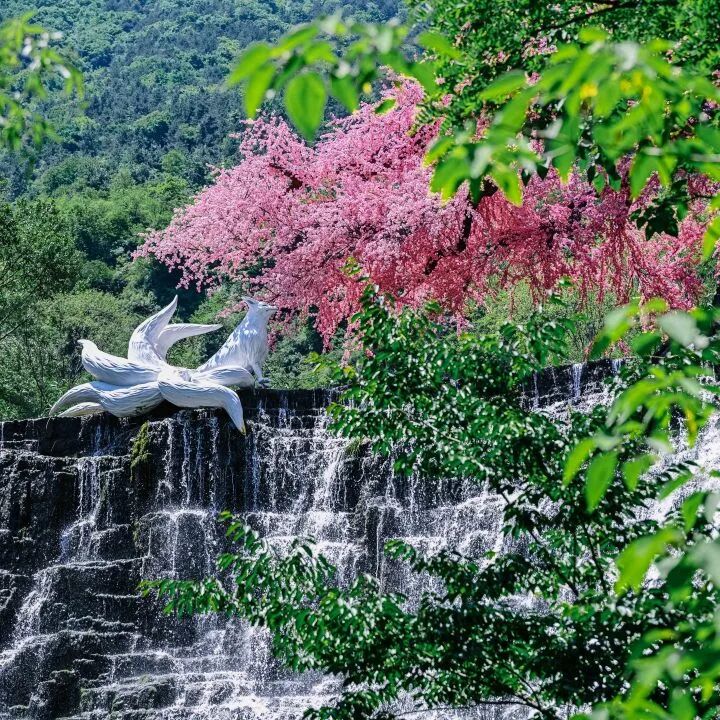 微信图片_2026-09-04_081217_970
