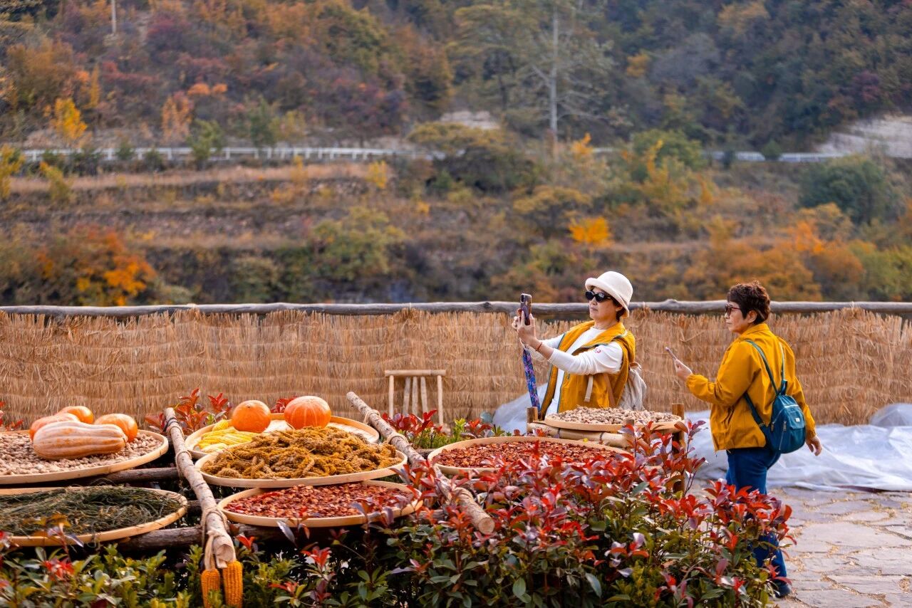 微信图片_2026-10-20_081359_504