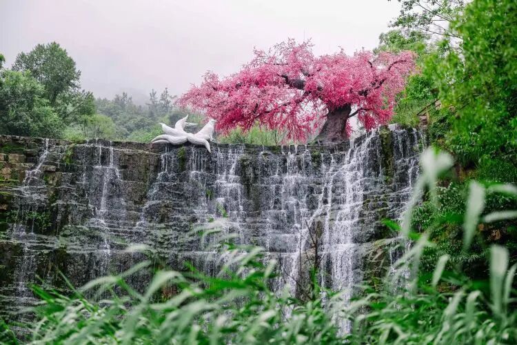 微信图片_2026-06-24_110251_827