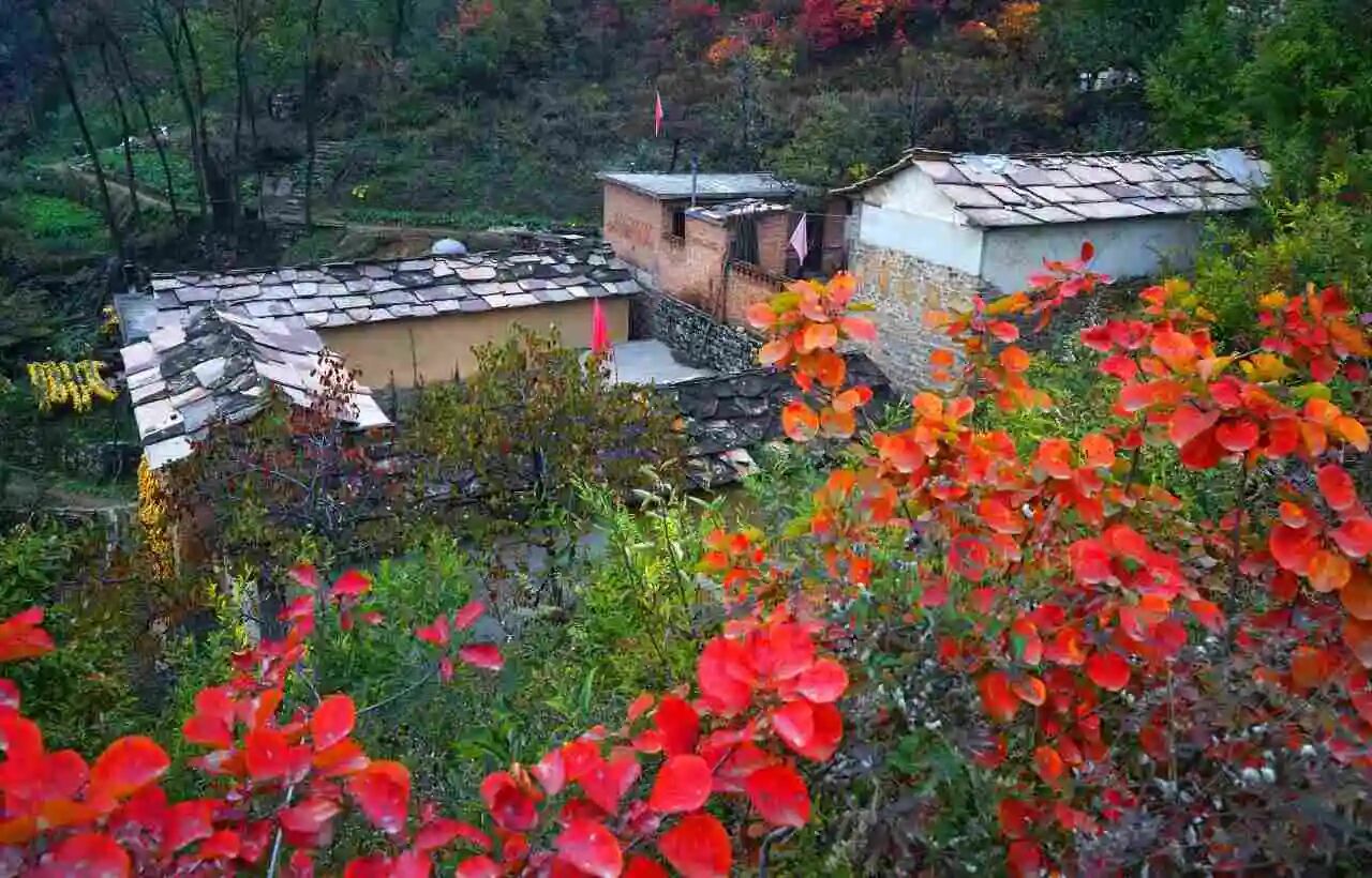 微信图片_2026-09-21_144032_741