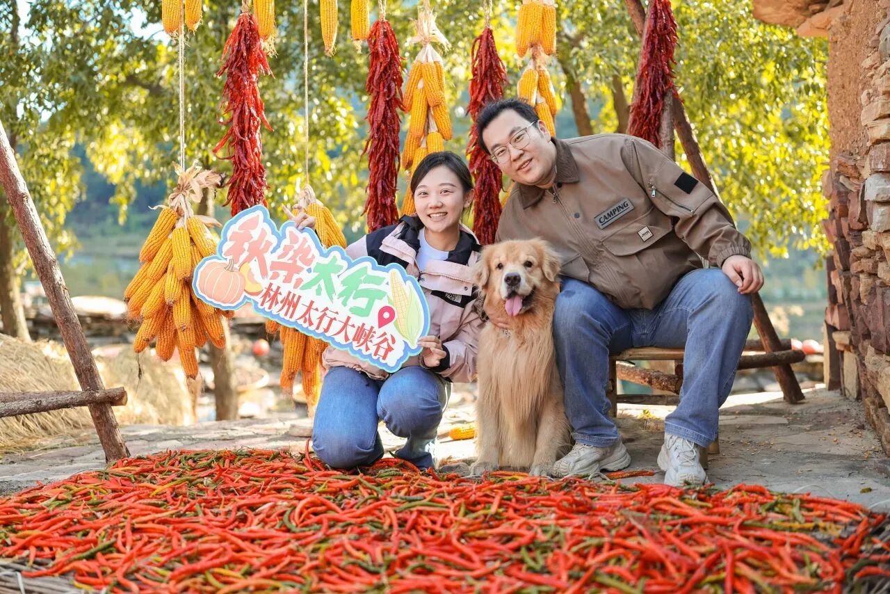 微信图片_2026-10-08_143114_344