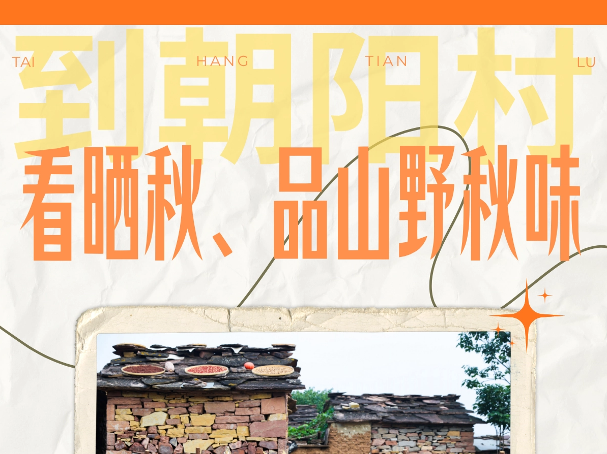 周末去哪儿｜上太行天路，到朝阳村看晒秋、品山野秋味