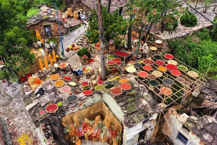 微信图片_2026-10-08_150738_681