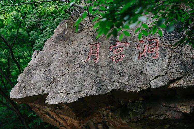 微信图片_2026-07-22_162026_572