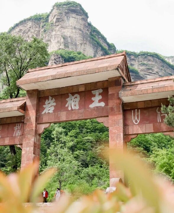 微信图片_2026-07-01_084115_237