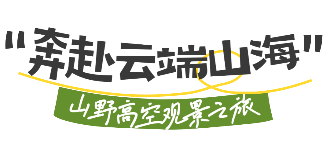 微信图片_2026-08-15_145938_124