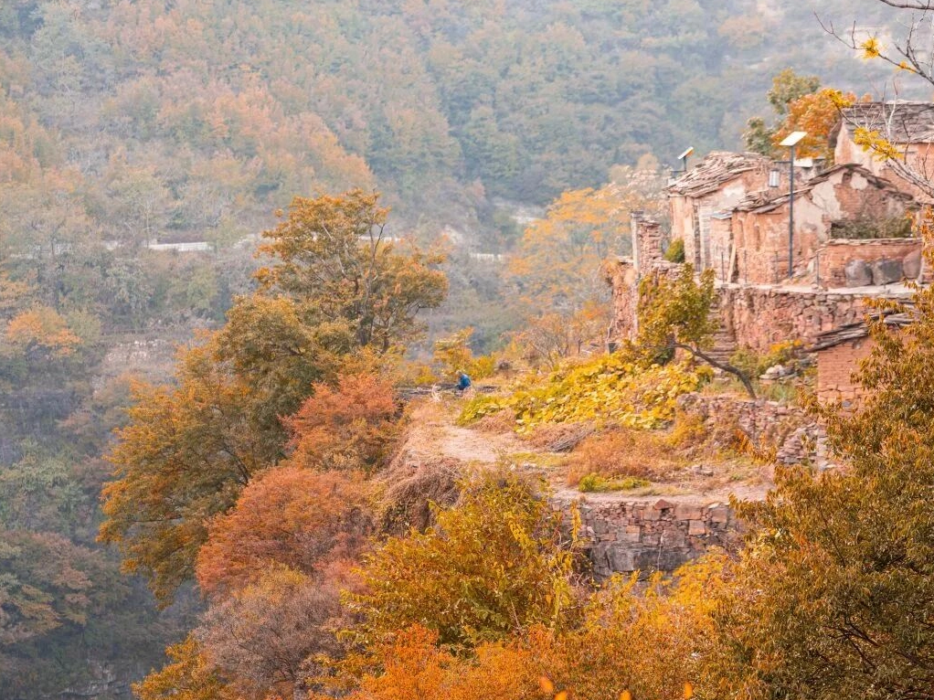 执笔赴秋山｜写生采风指南&红叶观赏时序
