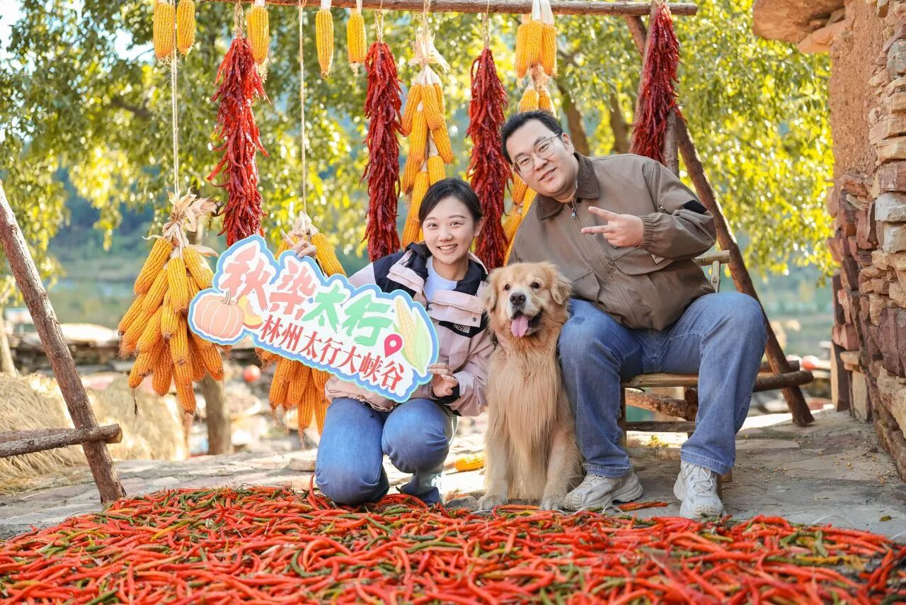 微信图片_2026-10-16_154153_201