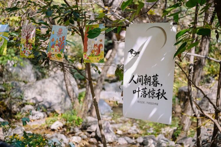 微信图片_2026-10-08_162810_150