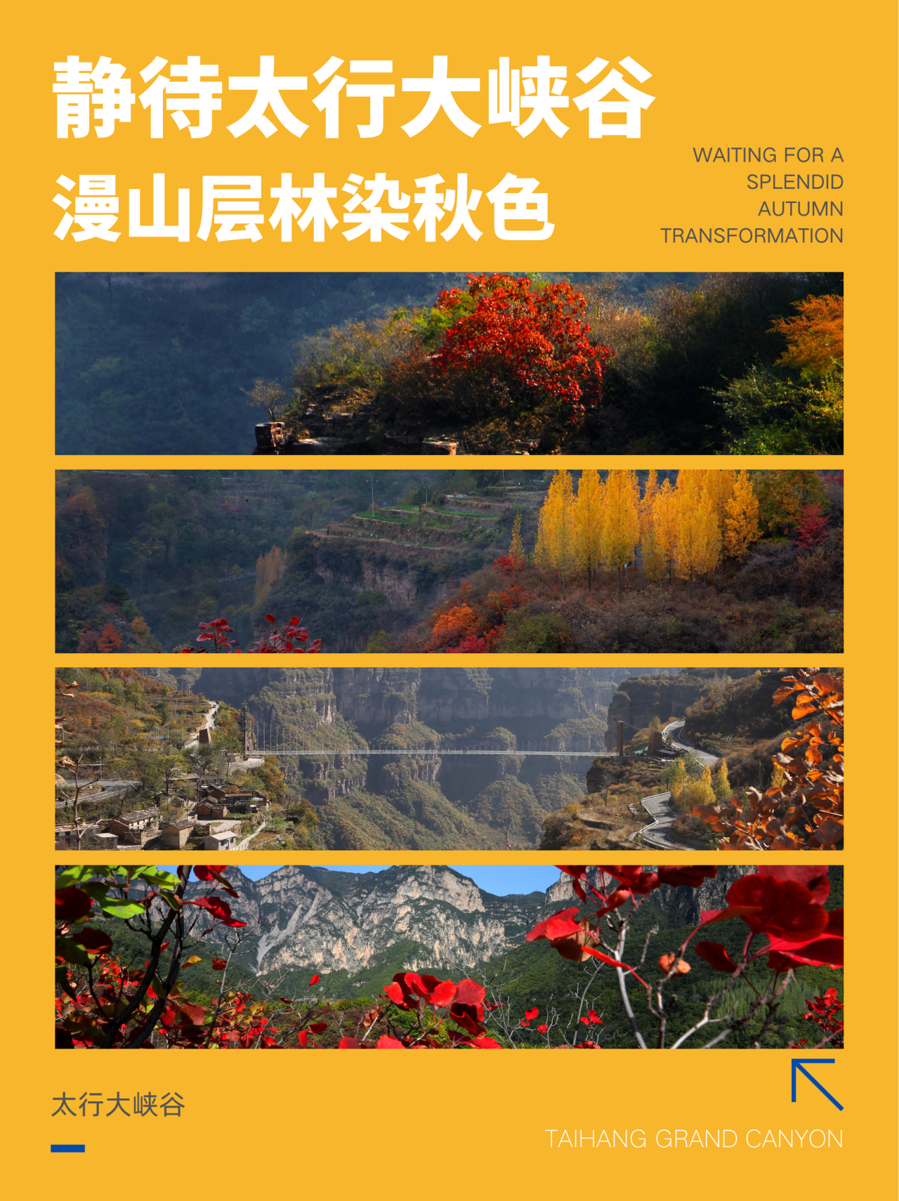 微信图片_2026-08-29_172417_977