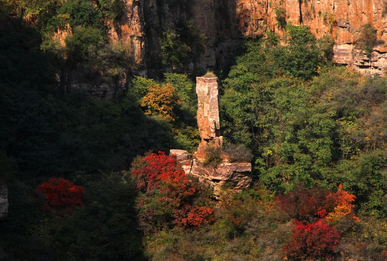 微信图片_2026-08-29_172500_575