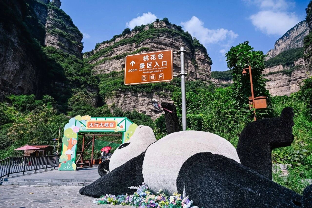 微信图片_2026-08-28_144607_952