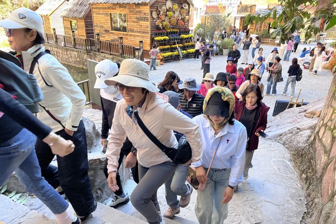 微信图片_2026-10-09_103743_715